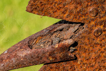 rusting farm equipment 