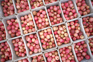 Freshly picked pomegranate fruits in boxes, top view. Lots of boxes with red ripe fruits. Fresh harvest for sale.