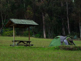 isolated camping in the forest