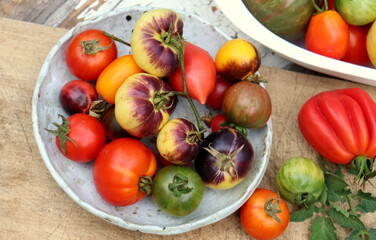 Tomatoes of different shapes and colors close-up selective focus, harvest of tomatoes.