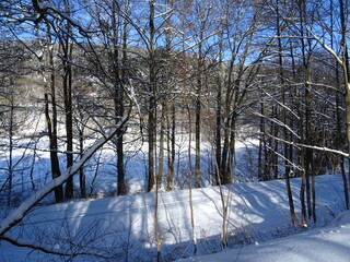 Ilmenau-Manebach
