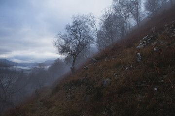 Las we mgle z gorami w tle Glen Lyon Scotland