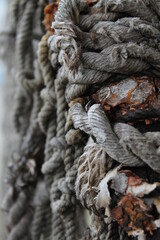 Old ropes on the dock.