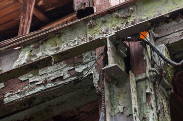 Abandoned Strongbox Factory