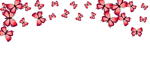 Tropical red butterflies flying vector background. Spring cute moths. Detailed butterflies flying baby illustration. Gentle wings insects graphic design. Tropical creatures.