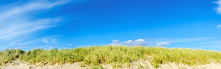 Obraz premium Beach and sand dune covered with Marram Grass, List, Sylt, Germany, panorama The beach grass protects the sand dunes from eroding.