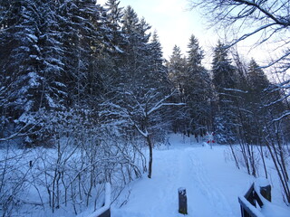 Ilmenau