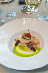 John Dory fish and morel mushrooms, cream almond sauce, Lyon, France, Europe