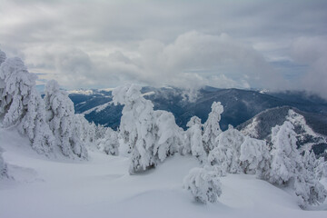 Obraz premium Panorama of the foggy winter landscape in the mountain