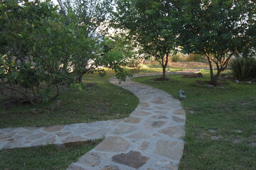 VEREDA