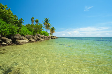 Obraz premium Beautiful beach shoreline with coral rock and palm trees on Fisher Island in Miami, Florida