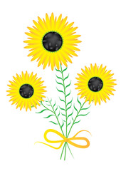 Bouquet of sunflowers in sunny bright vibrant colors on a white background. Symbolic summer flowers with ribbon in vector format and jpg.