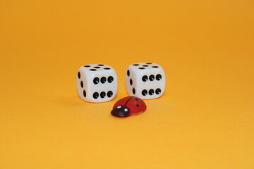 two dice on a white background
