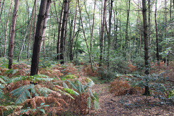 Hiking in northern Germany / Wandern in Norddeutschland