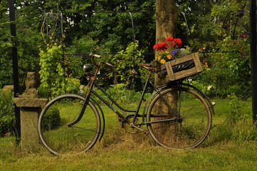 Fototapeta premium Bicycle in the garden