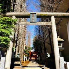 新宿 花園神社の鳥居（靖国通り側）