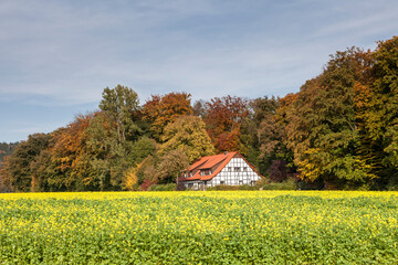 Timbered house in Bad Iburg, Osnabr&uuml;ck country, Lower Saxony, Germany