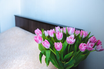 pink tulips on the background of the room