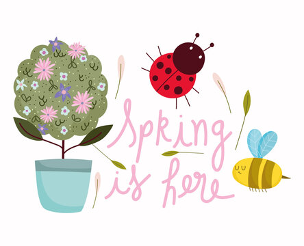 spring potted plant flowers bee ladybud cartoon