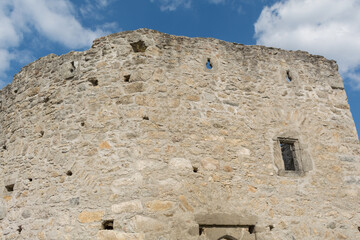 Fototapeta na wymiar Burg Waxenberg In Upper Austria - Austria