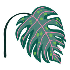 monstera leaf tropical exotic foliage cartoon isolated