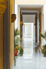 Deserted corridor in hotel. Yellow and grey walls with palm trees and tropical plants in  flower pots.