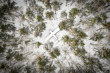 old plane in the forest