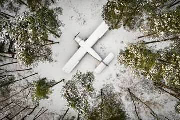 old plane in the forest