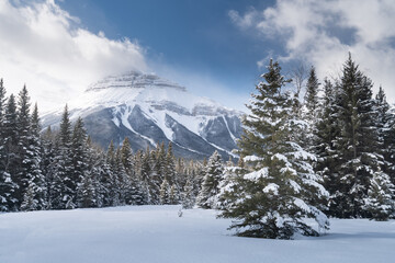 Beautiful landscape in Banff national park in Winter. Banff national park, Alberta, Canada - 414556907