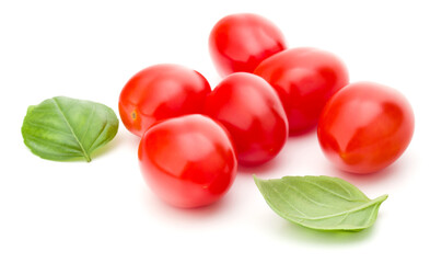 fresh plum tomato with basil leaf isolated on white background