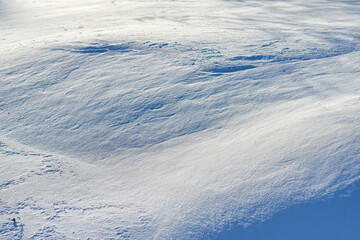 Texture of snow shining at the sun