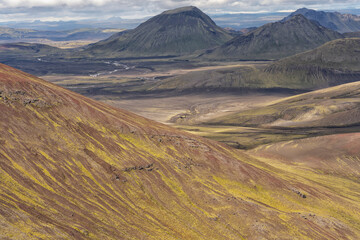 Iceland, Southern Highlands, Landmannalaugar. The black and red lava mountains are covered with bright yellow moss.
