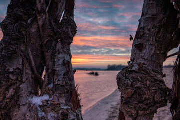 Sunrise on the Vistula River