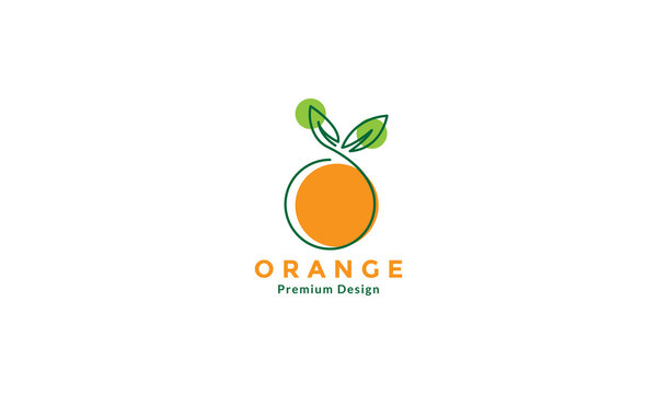 orange fruit line art colorful logo design vector icon symbol illustration