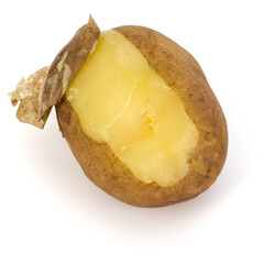 one boiled peeled potato isolated on white background cutout