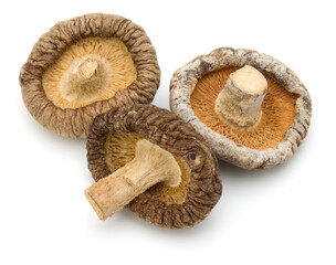 Dried Shiitake Mushroom isolated on white background