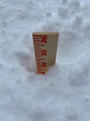 Snow day in Chicago. Yardstick measures almost 34 inches snow accumulation from winter storms. The latest storm dumped almost 18 inches on the area.