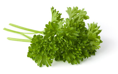 parsley leaves bunch isolated on white background cutout