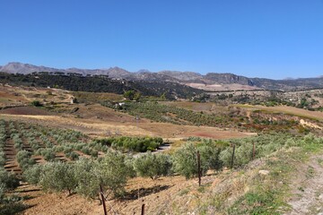Rural in Ronda, Spain