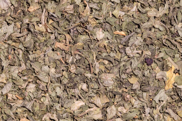 Macro image of Parsley leaves