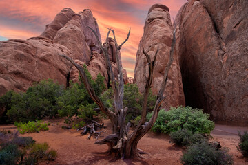 Desert landscape in Arches National Park during summer time in Utah, USA. Taken late afternoon with...