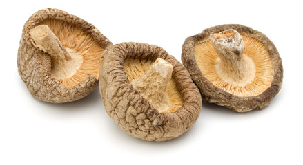 Dried Shiitake Mushroom isolated on white background