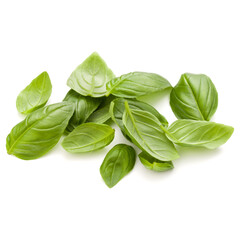 Sweet basil herb leaves handful isolated on white background closeup