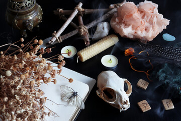 Magic ritual altar of the witch. Witchcraft ritual, fortune-telling for the future. Ritual skull of a cat, lighted charmed candles. Items for black magic. Salon providing esoteric services