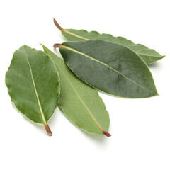 Fototapeta premium Aromatic bay leaves