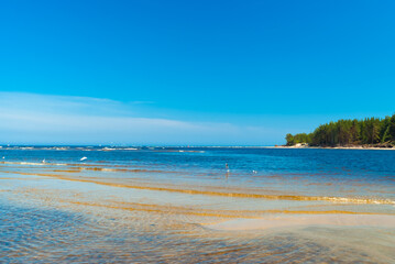 Obraz premium beach.in the photo, the sea shore against the blue sky