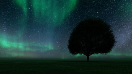 Milky way with tree and grass silhouette over the dark sky	