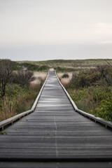 Fototapeta na wymiar boardwalk in the dunes
