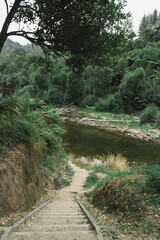 New Zealand, camping, kayaking, adventure