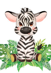 Baby zebra watercolor illustration, animal poster, african safari animal 